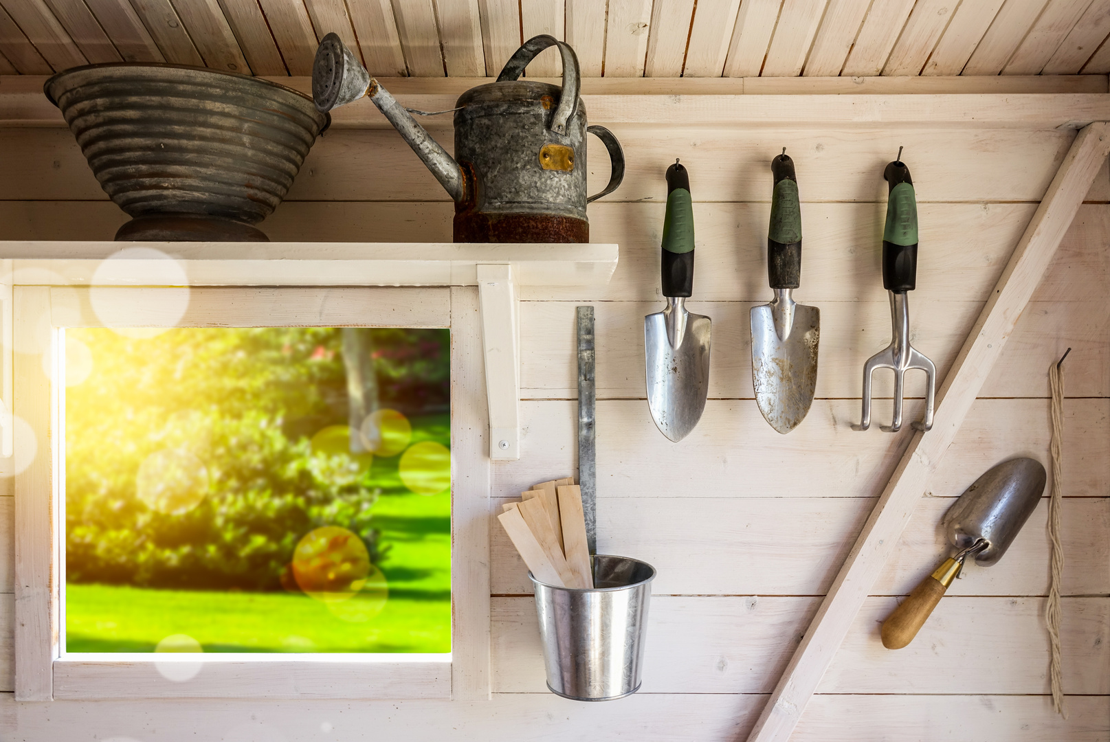 Gardening tools in a small garden storage shed.