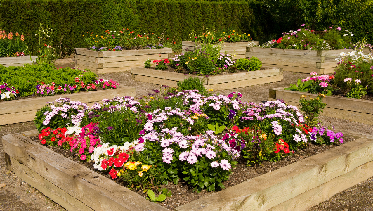 Raised Flower bed